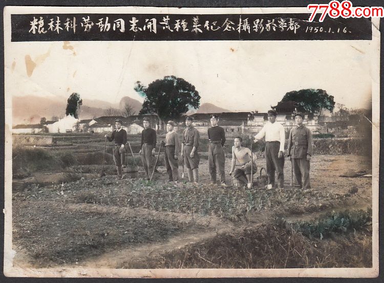 1950年粮秣科劳动同志开荒种菜纪念摄影于宁都,老照片_第1张