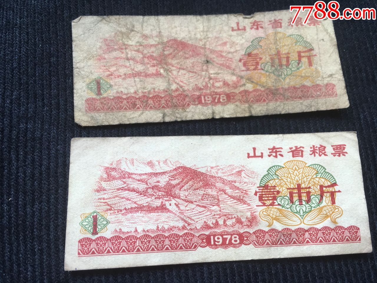 1978年山东省发行一市斤粮票2张