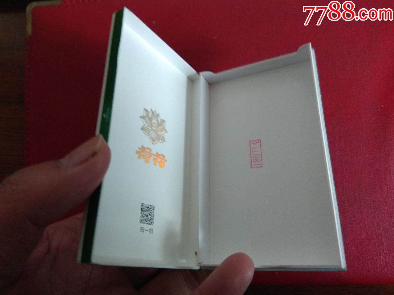荷花 绿水青山
