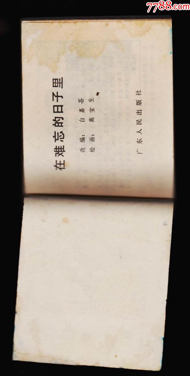 在难忘的日子里
