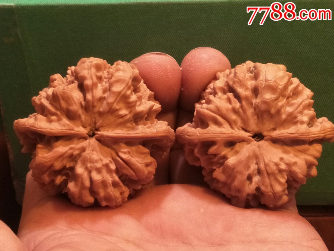 第*代老树红皮矮桩麒麟纹大官帽