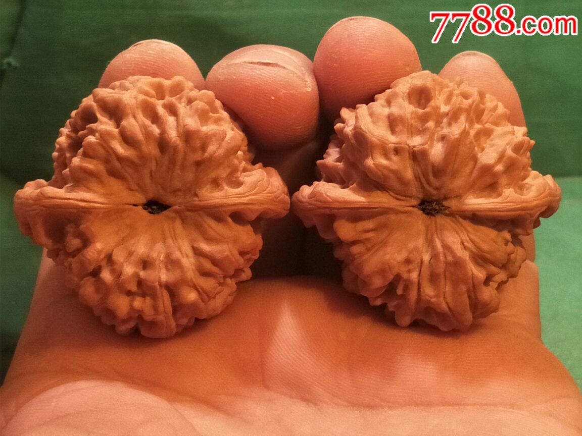第*代老树红皮矮桩麒麟纹大官帽