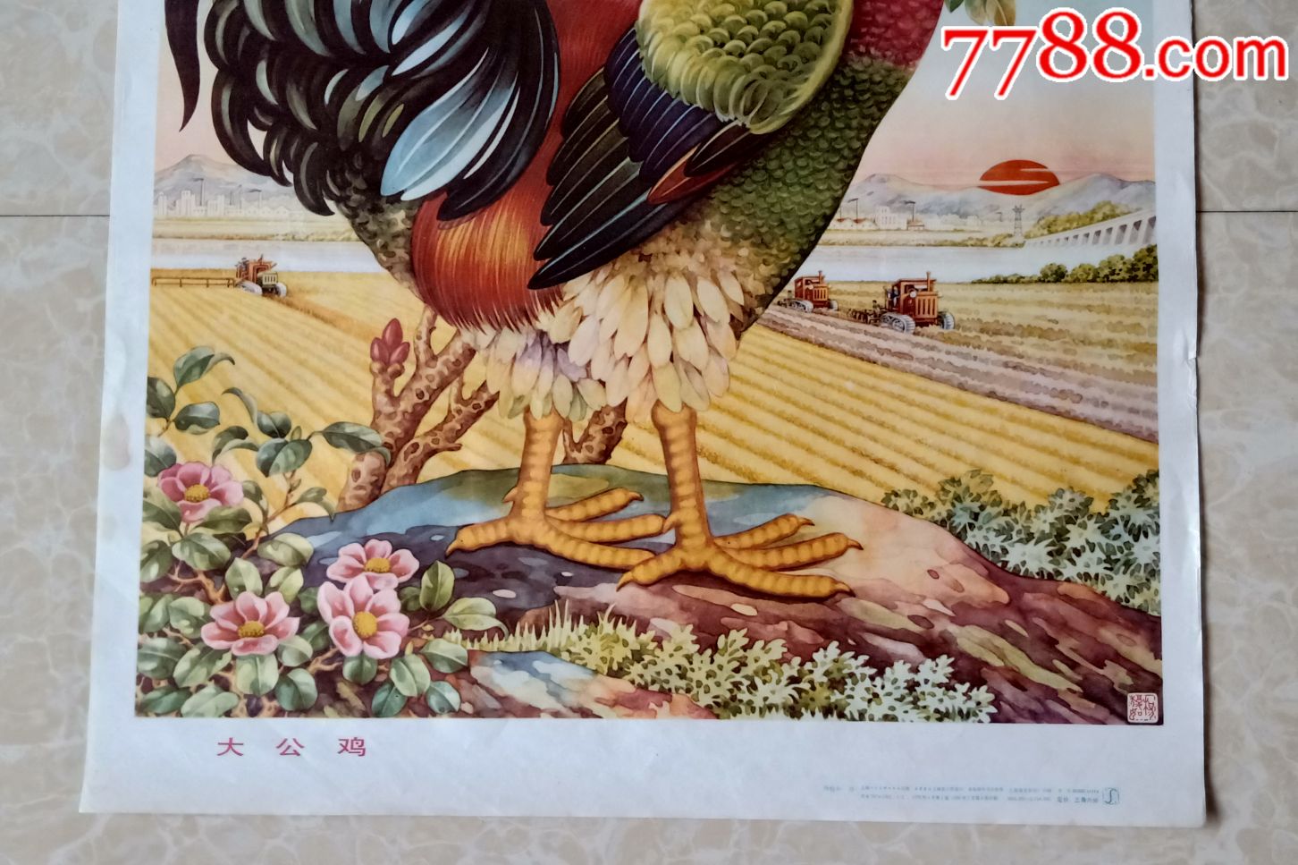 大公鸡-au18846721-年画/宣传画-加价-7788收藏__中国