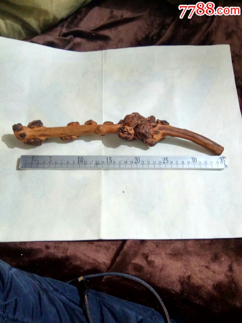 越南牛筋木摆件,也可做烟嘴