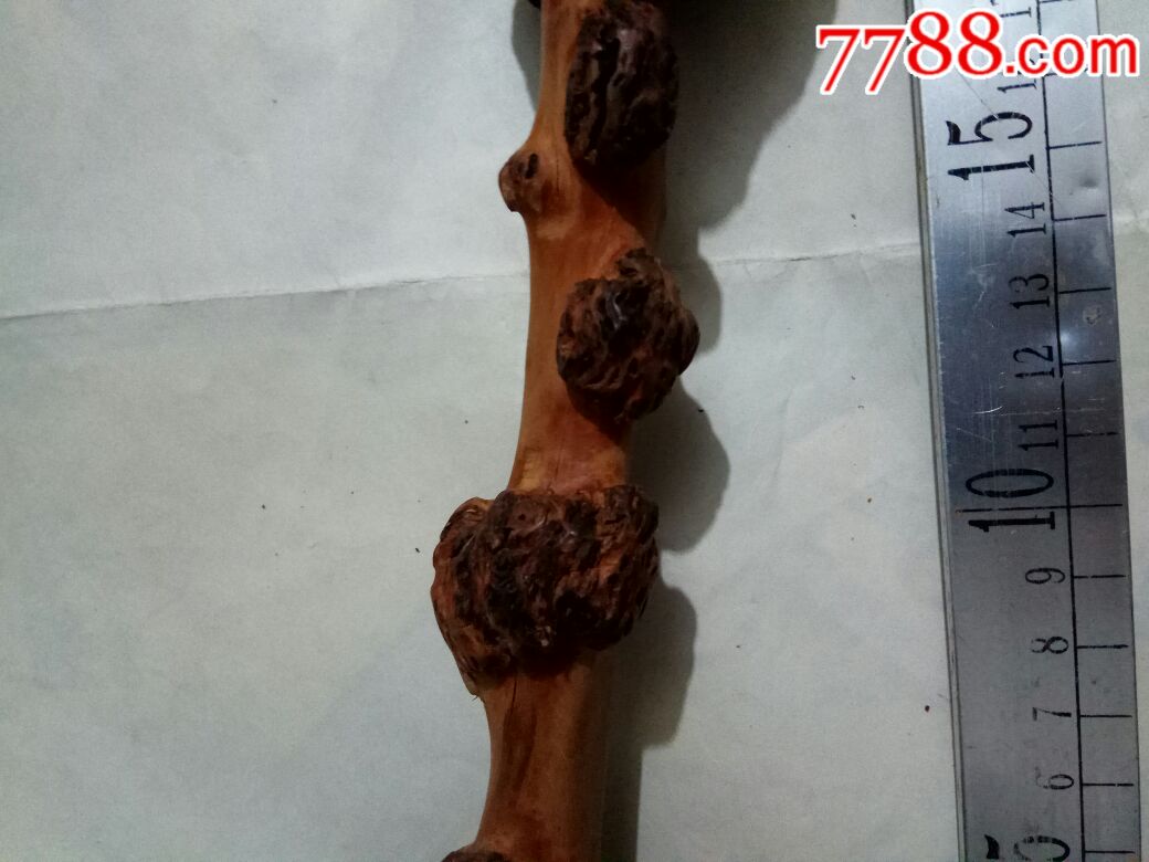 越南牛筋木摆件,也可做烟嘴