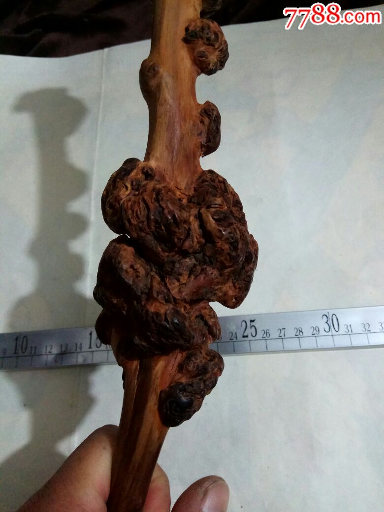 越南牛筋木摆件,也可做烟嘴
