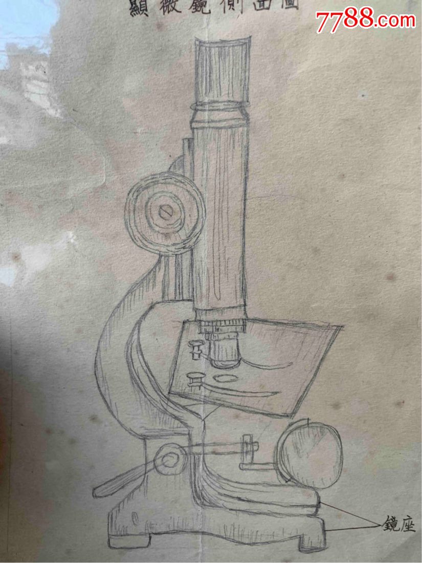 教育史料民国24年浙江嘉兴私立秀州中学生物实验作业铅笔手绘:显微镜