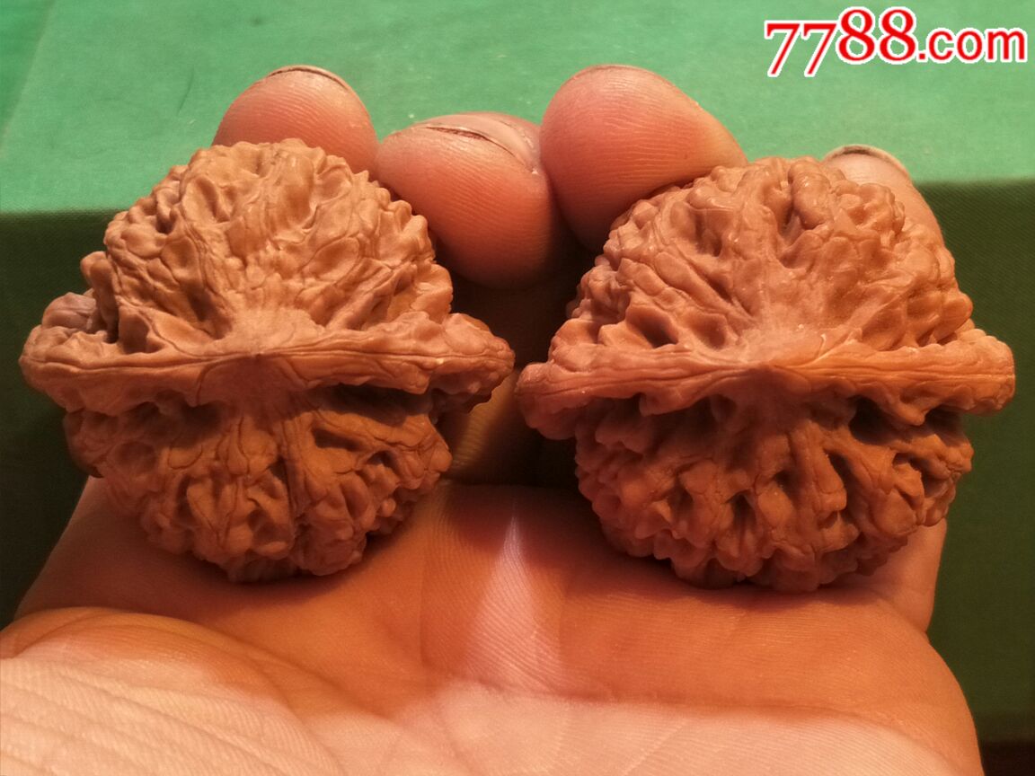 第*代老树红皮矮桩麒麟纹大官帽