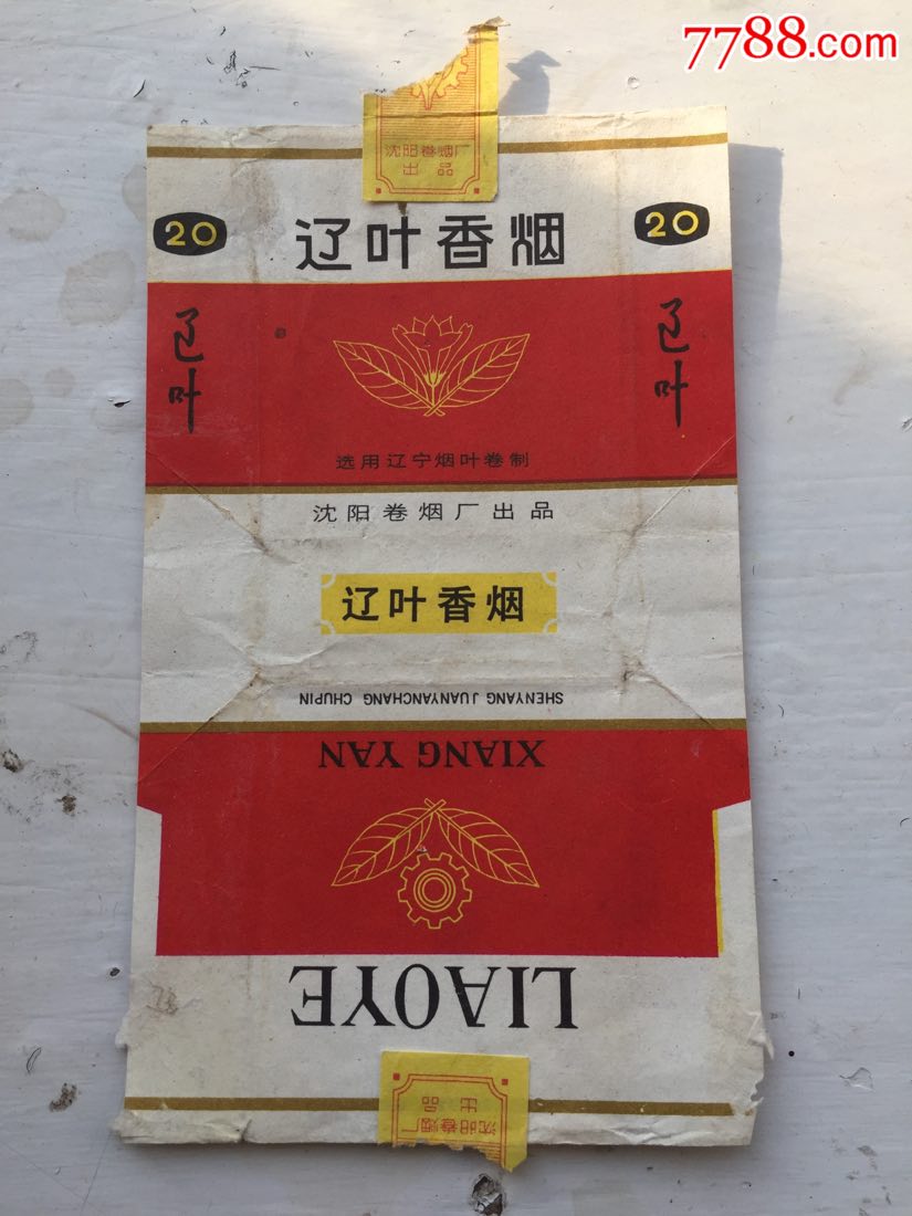 辽叶