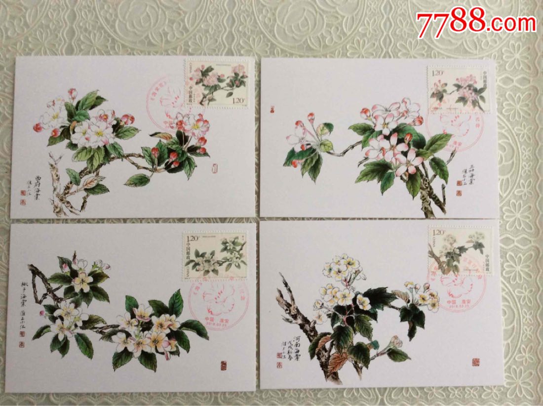 海棠花极限片