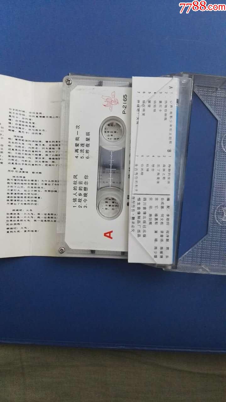 少年犯主题曲心声mtv视频