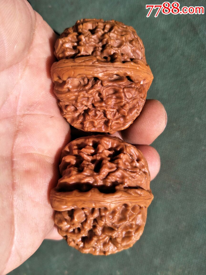 老树红皮闷尖白狮子头