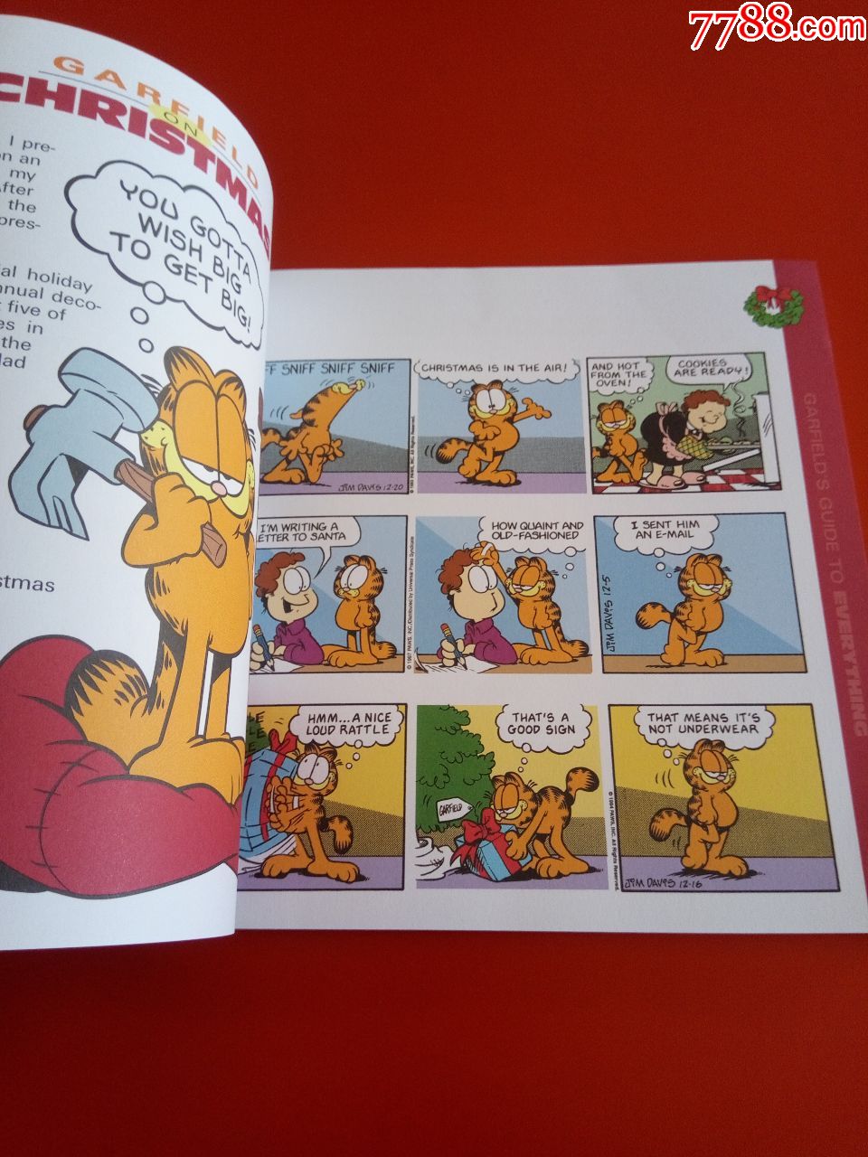 garfieldsguidetoeverything《英文原版漫画连环》