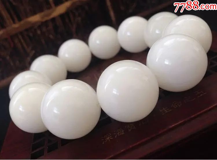 精品白玉砗榘手串