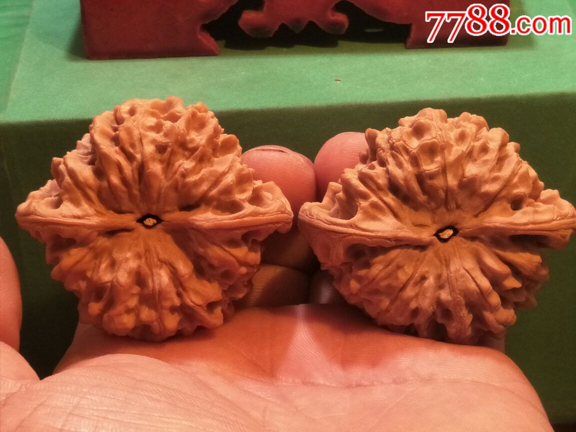 极品大宽边粗筋疙瘩纹【龙鼎】