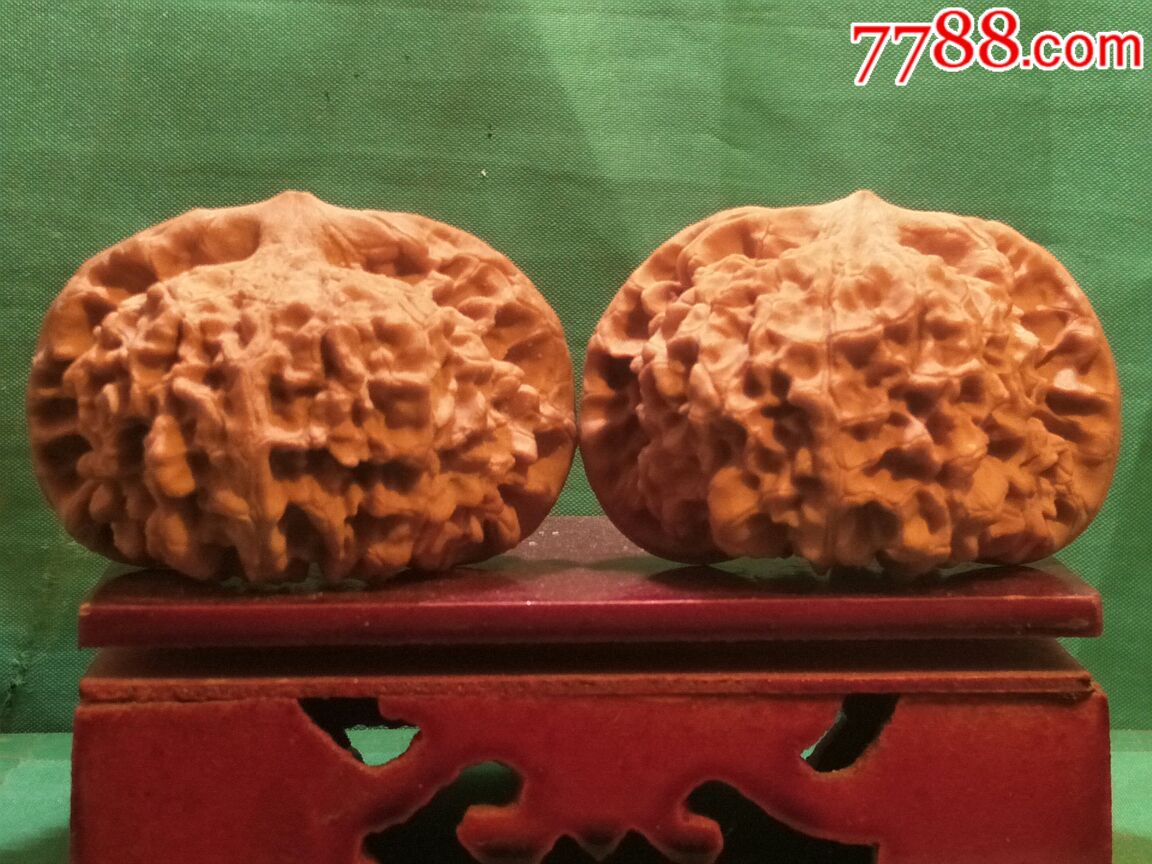 极品大宽边粗筋疙瘩纹【龙鼎】