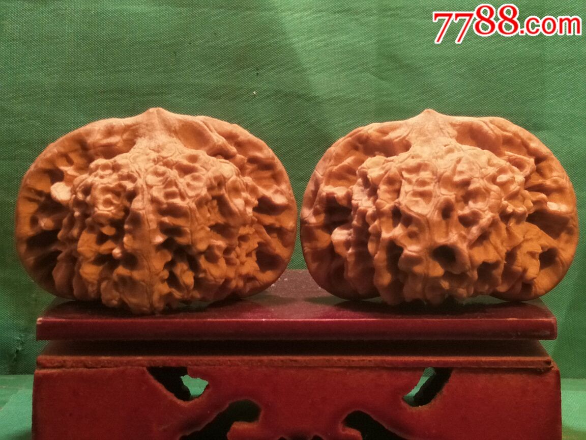 极品大宽边粗筋疙瘩纹【龙鼎】