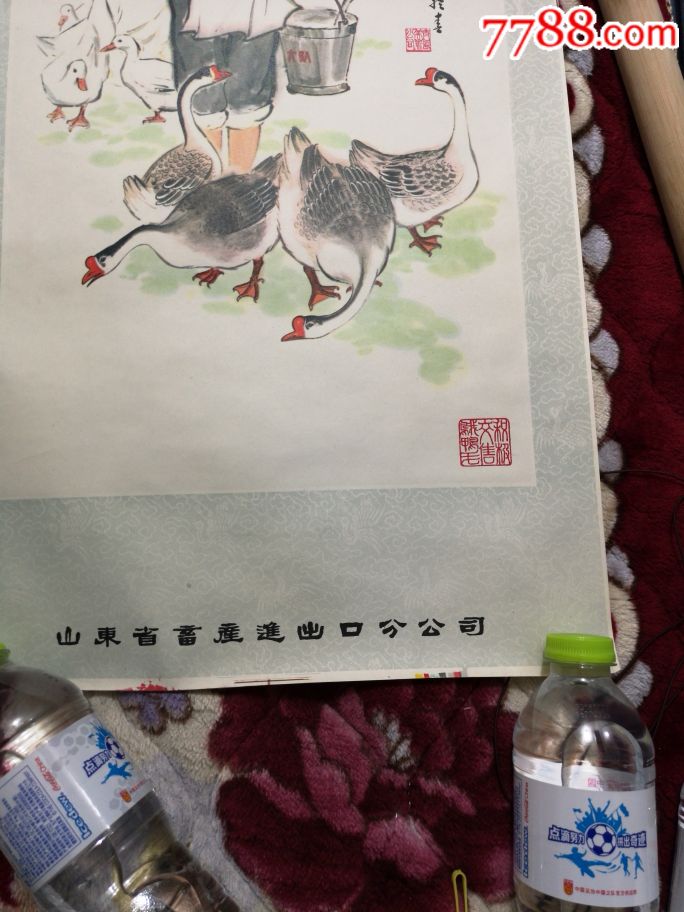 鸡鸭鹅