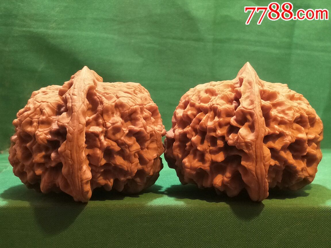极品红皮粗筋大疙瘩纹官帽
