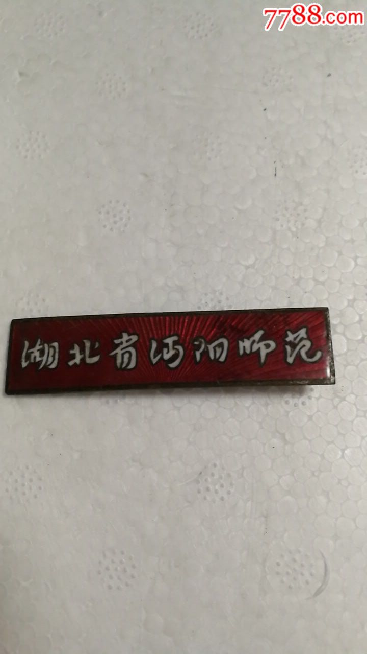 湖北省向阳师范章