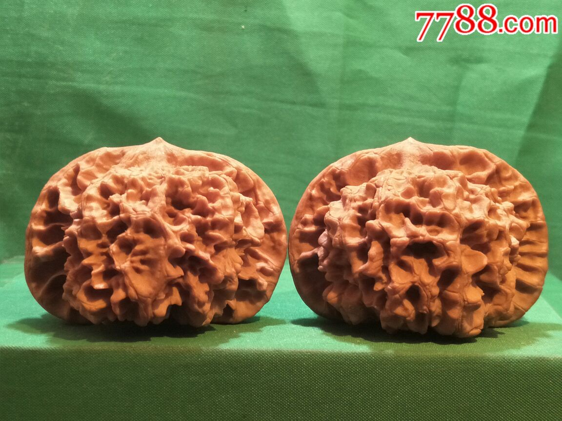 极品大肚粗筋疙瘩纹闷尖大官帽