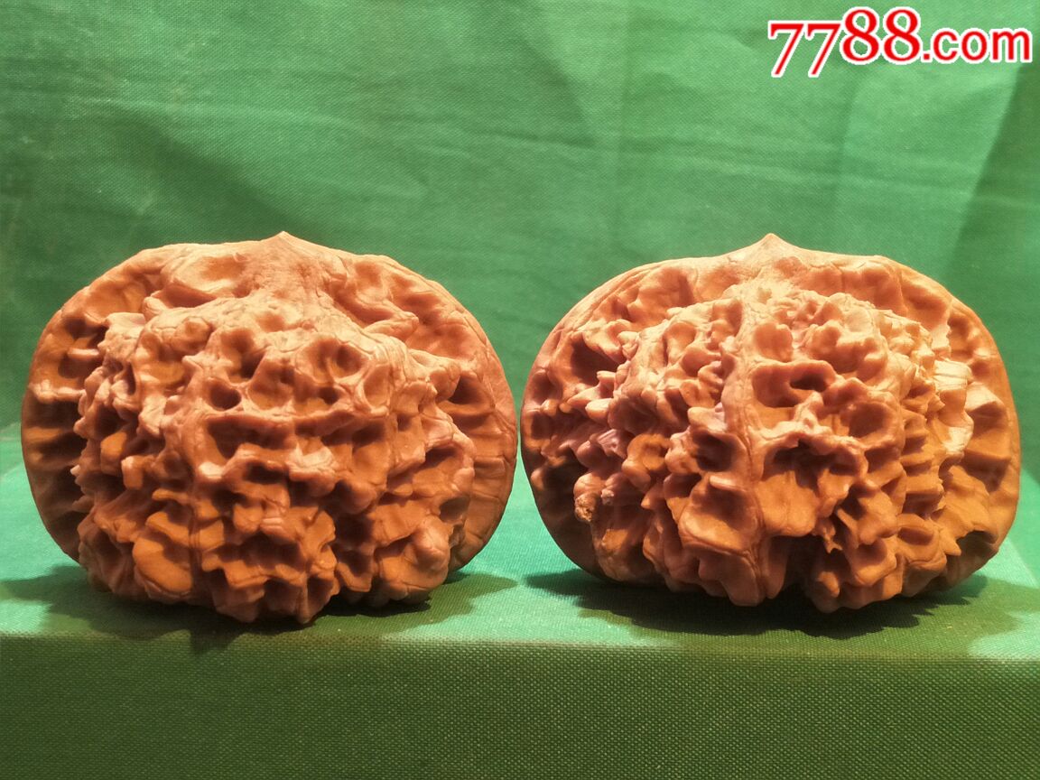 极品大肚粗筋疙瘩纹闷尖大官帽