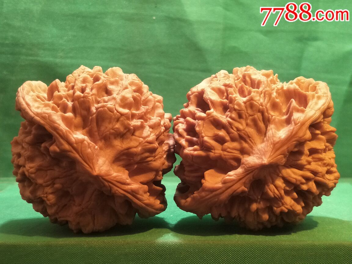 极品大肚粗筋疙瘩纹闷尖大官帽