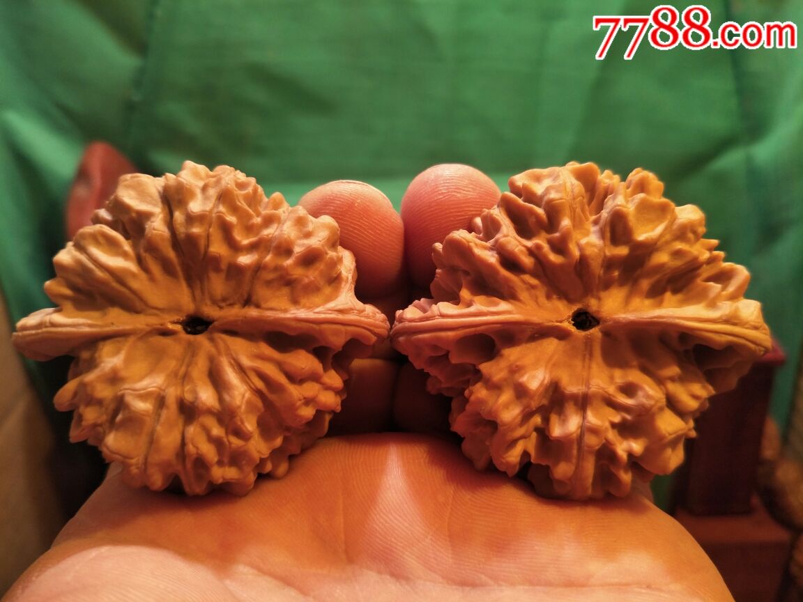 极品大肚粗筋疙瘩纹闷尖大官帽