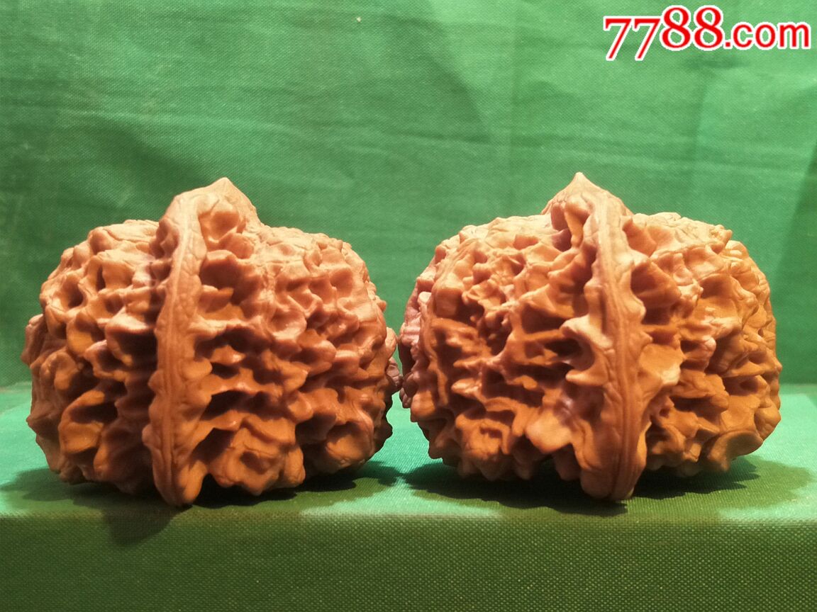 极品大肚粗筋疙瘩纹闷尖大官帽