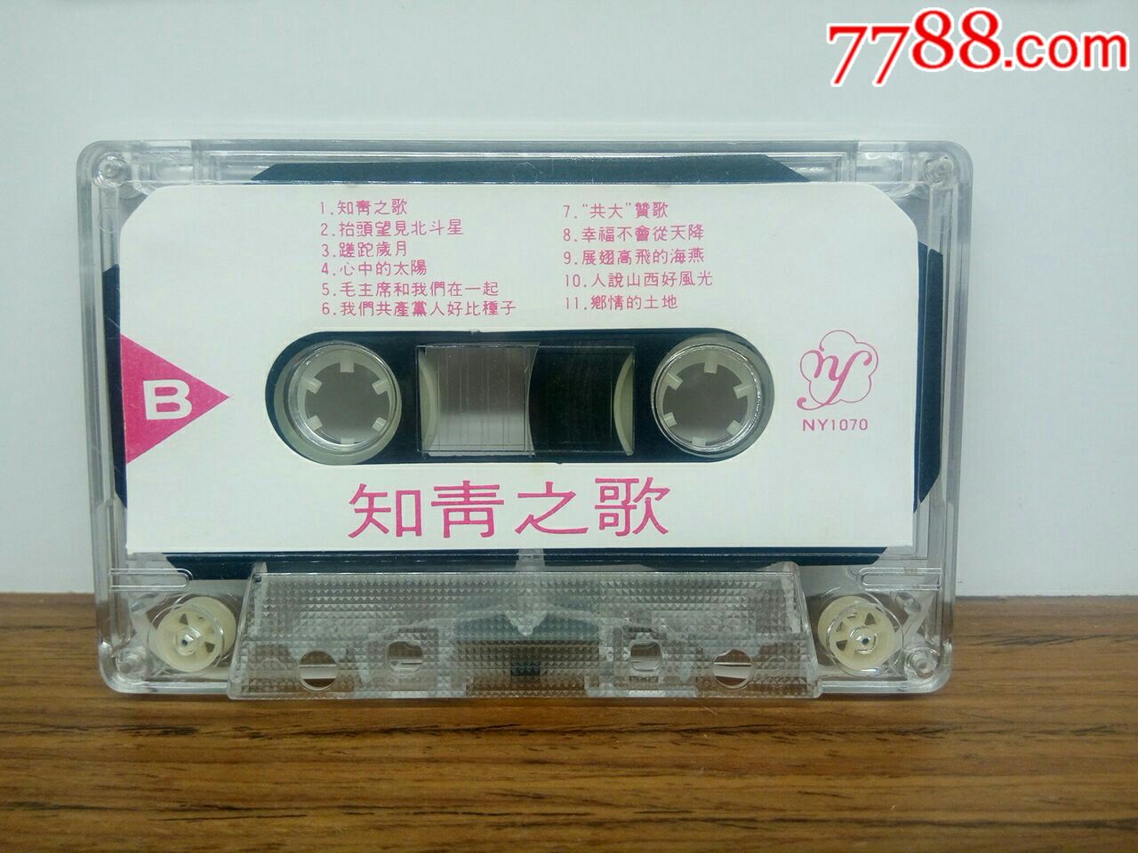 知青之歌