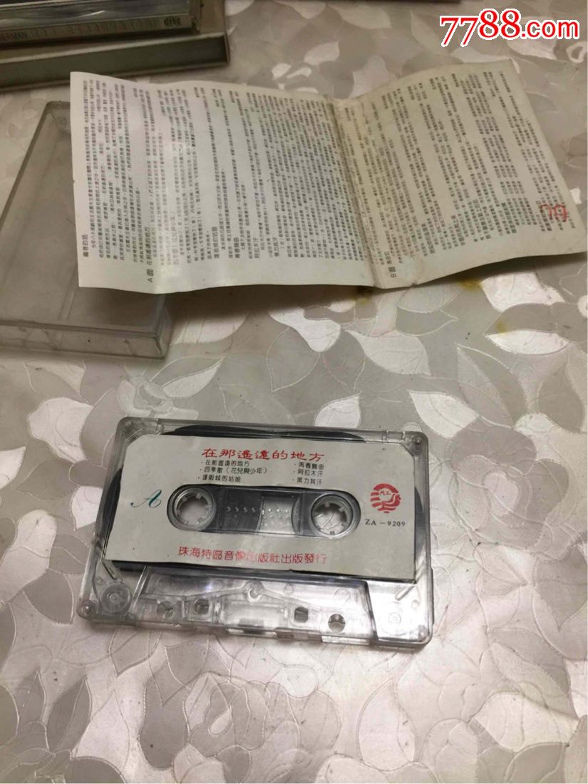 在那遥远的地方-王洛宾著名民歌集