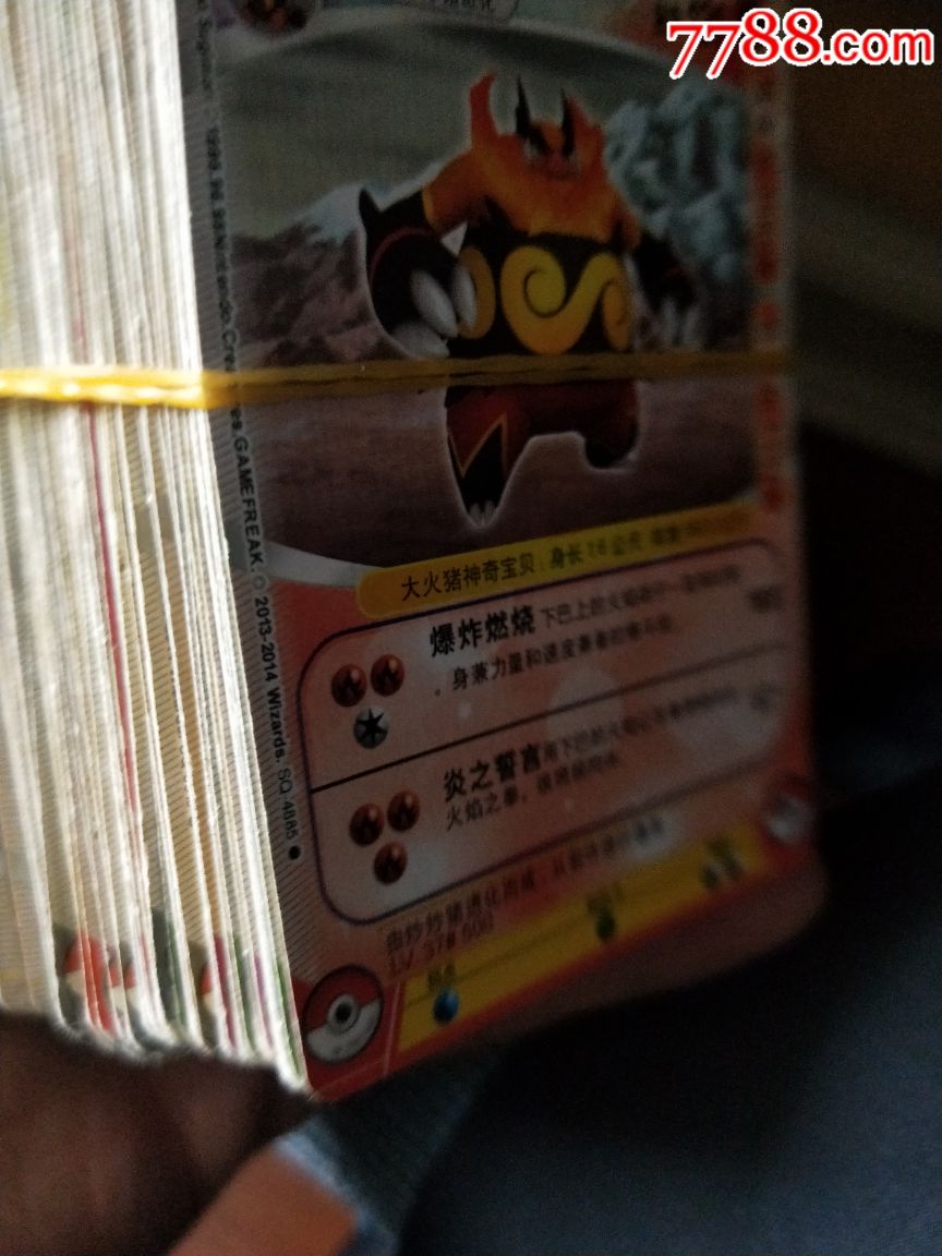 宠物小精灵中文战斗卡片数码宝贝桌面游戏张不