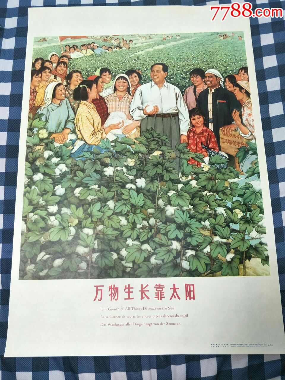 万物生长靠太阳(中英文版)