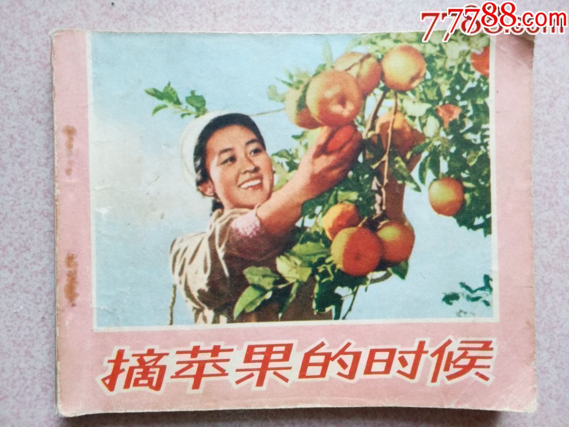 摘苹果的时候