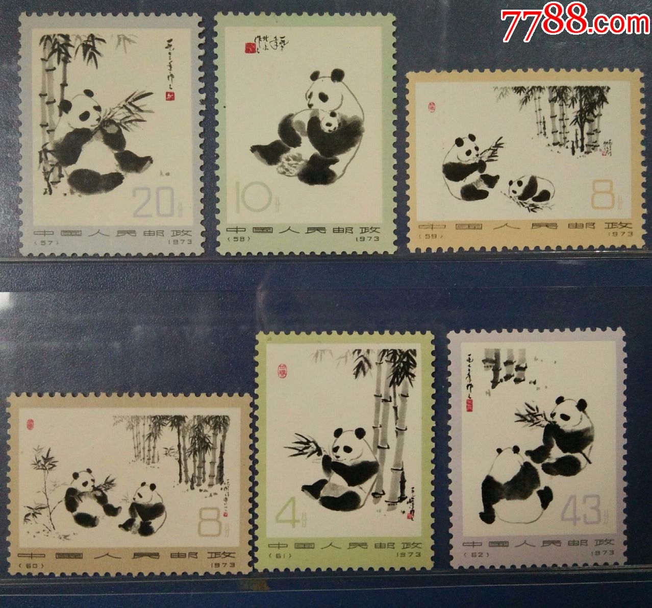 1973年大熊猫编号邮票一套六枚新品(57-58-59-60-61-62)_价格638元_第