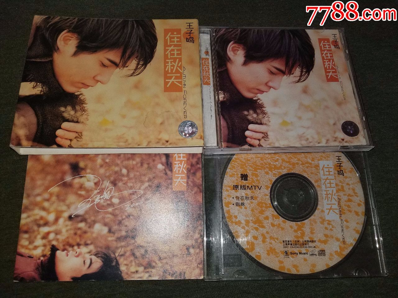 王子鸣住在秋天2000年上海声像首版精装版1cd1vcd写真集