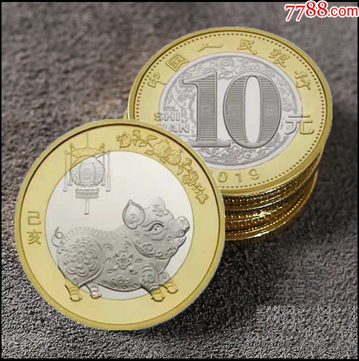 2019猪年纪念币1枚