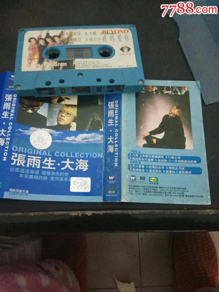 张雨生,大海,喜欢你
