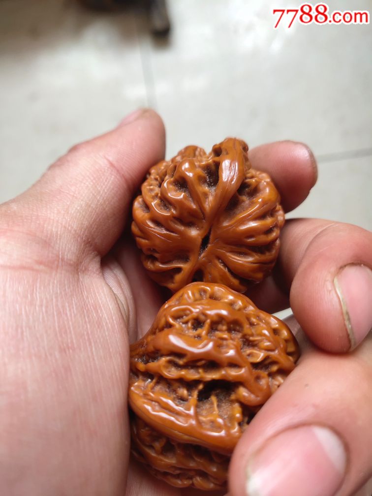 老人盘了几十年的核桃