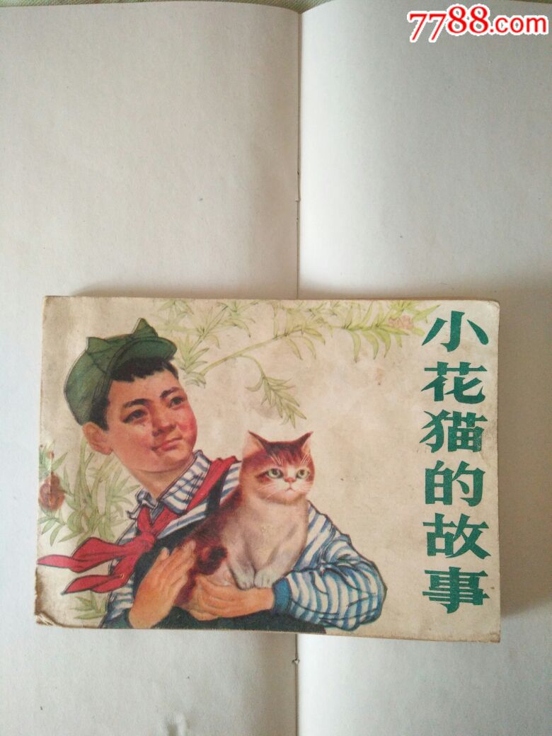 小花猫的故事