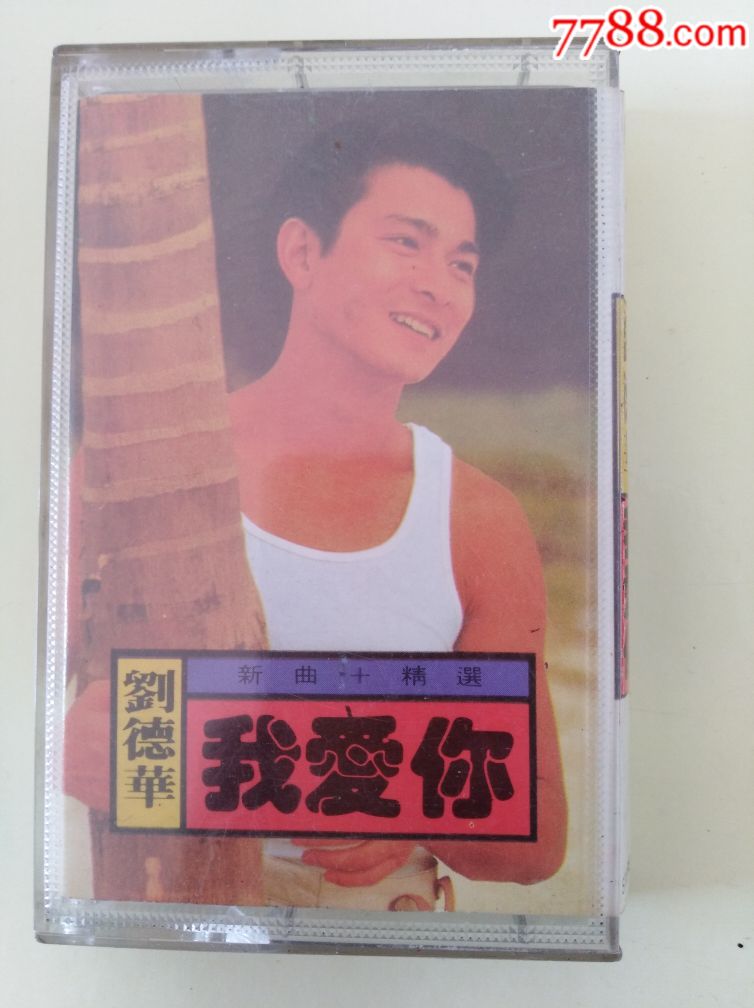 刘德华~我爱你