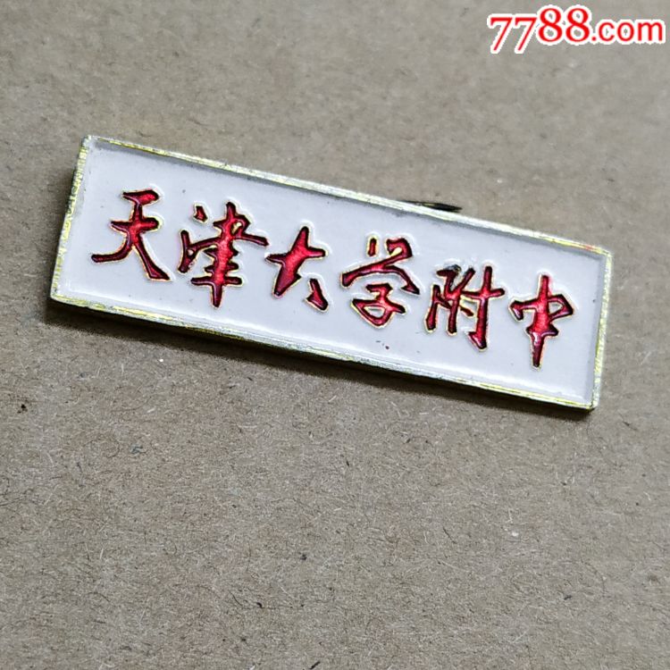 天津大学附中