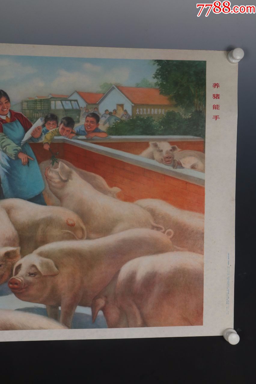 1976年出版宣传画《刘斌昆作-养猪能手》猪年大吉-品上乘-保真