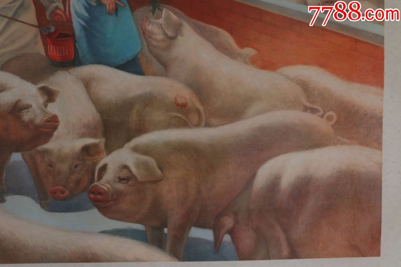 1976年出版宣传画《刘斌昆作-养猪能手》猪年大吉-品上乘-保真