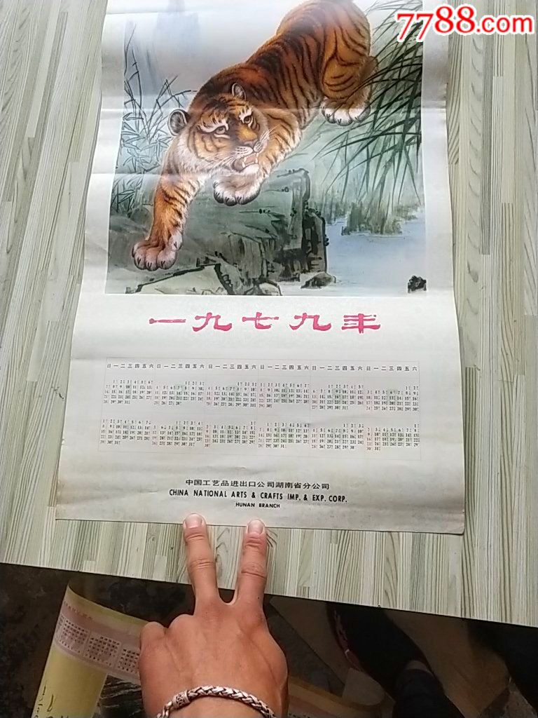 1979年生肖虎挂历画