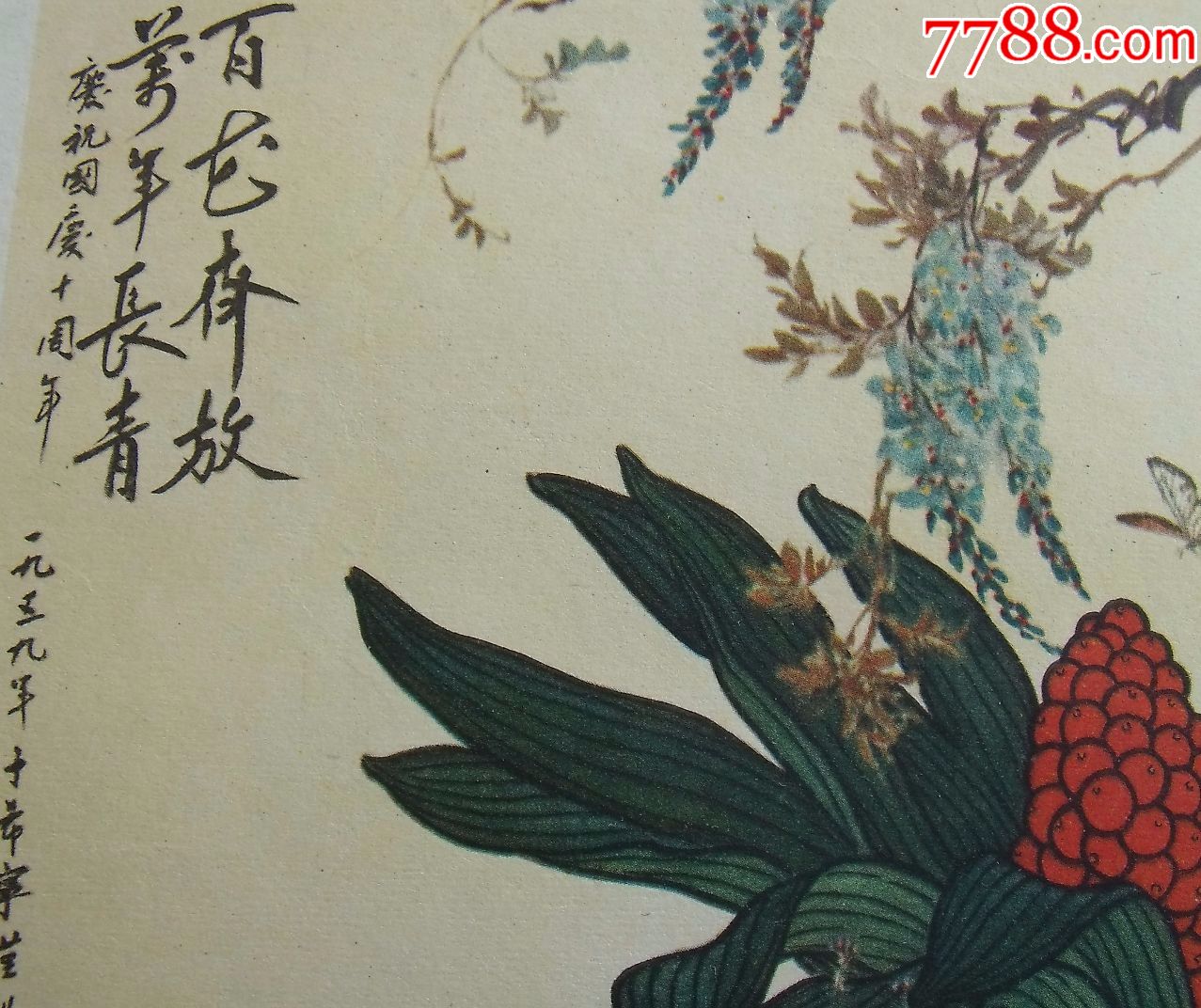 百花齐放万年青,于希宁画(60年一版二印一万1千5百册)