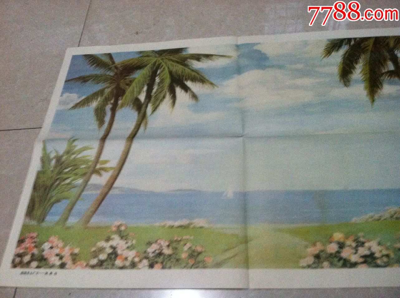 陈初电绘画版原版挂图海南岛单张2开