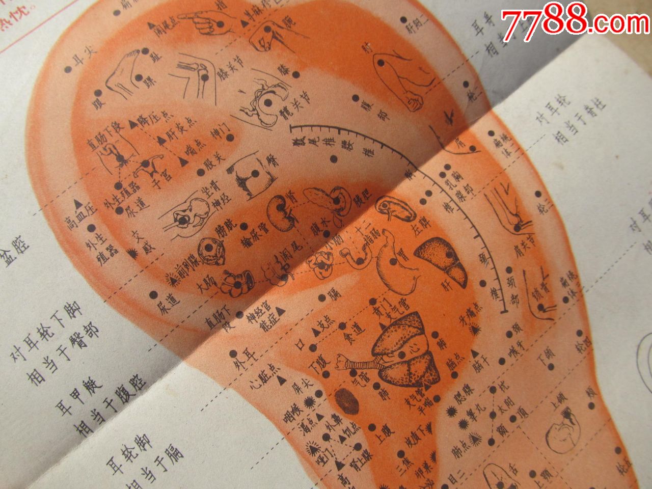 有语录的《耳针穴位示意图》辽宁出版发行,品相如图,快递发货