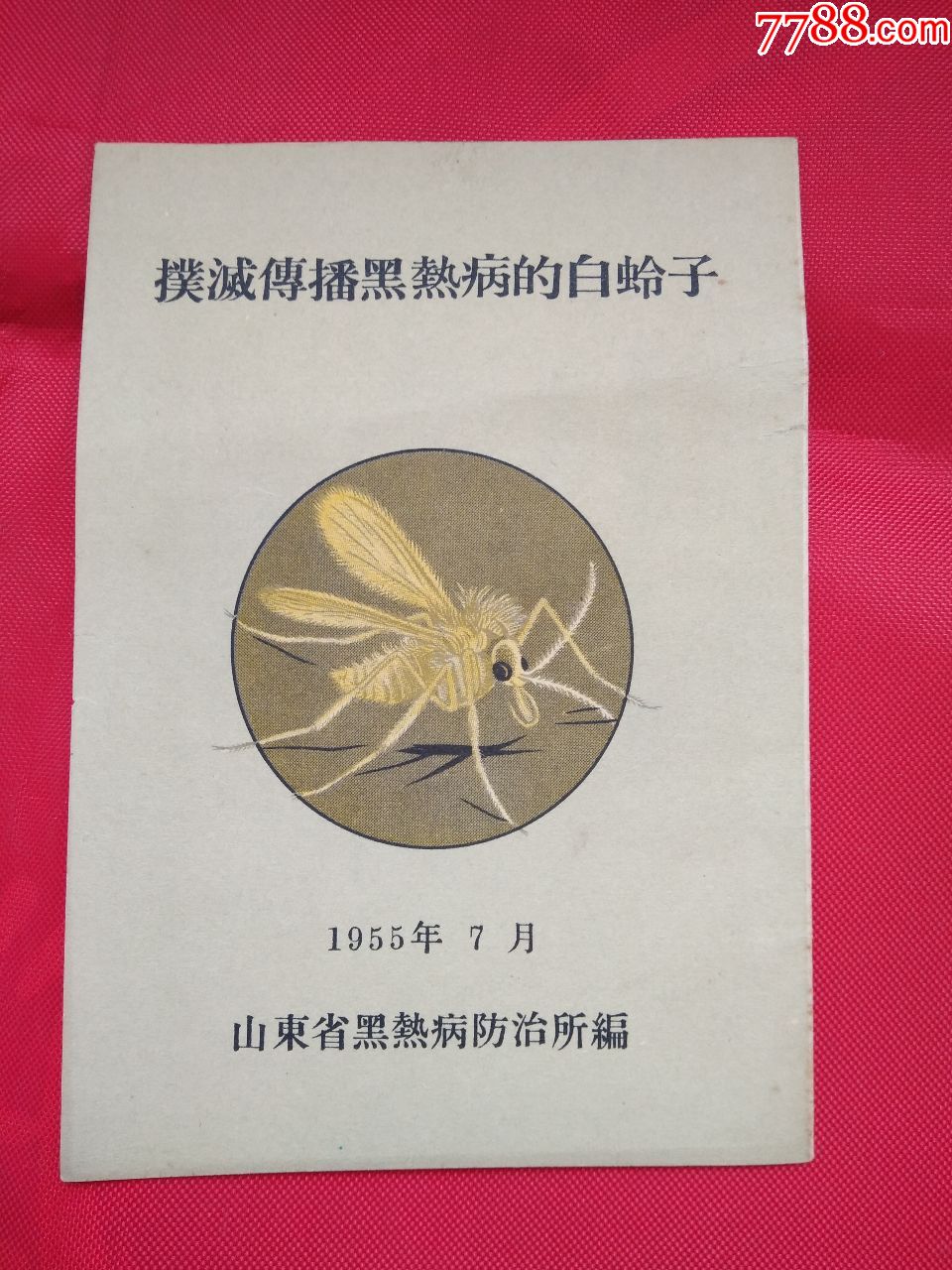 扑灭传播黑热病的白蛉子(1955年山东省黑热病防治所编