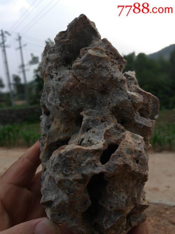 南太行深处蜂窝石